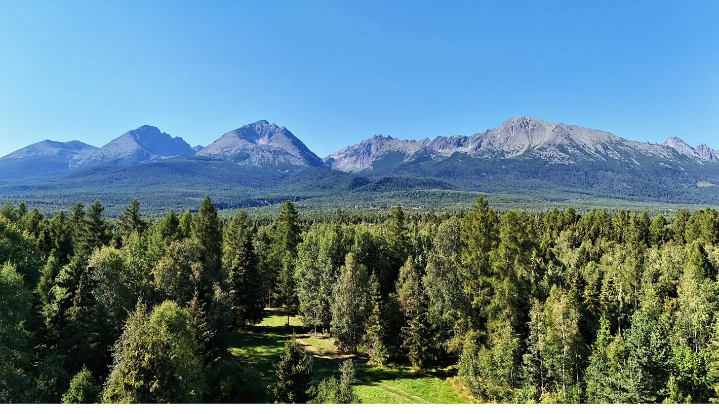 Smrekový les a panoráma Vysokých Tatier z výšky